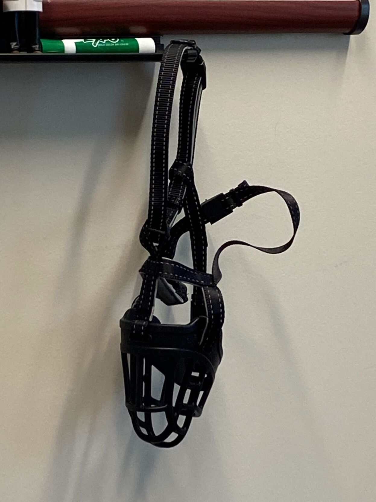 Muzzle sent to Dr. Michelle Fiscus